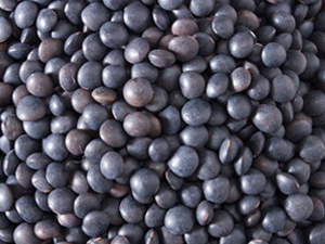 黑豆
